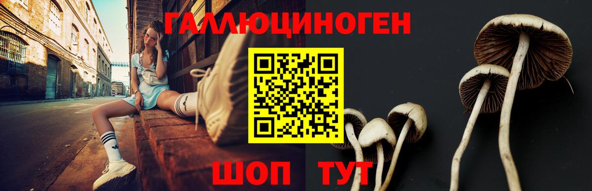 Псилоцибиновые грибы GOLDEN TEACHER Ступино